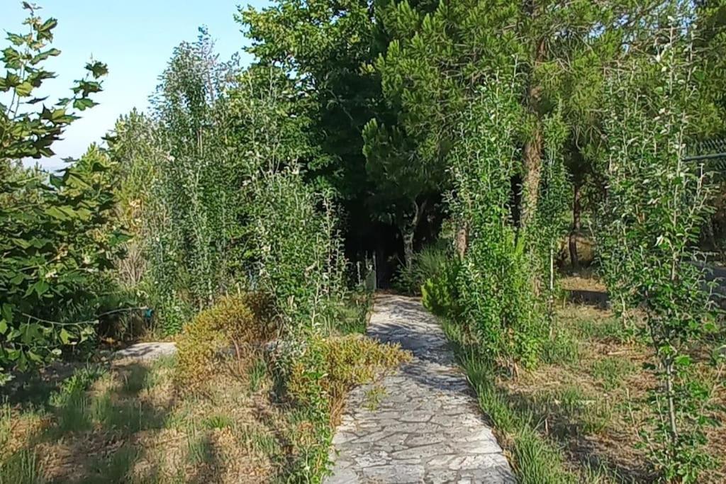 Alcanede Moradia Na Serra מראה חיצוני תמונה